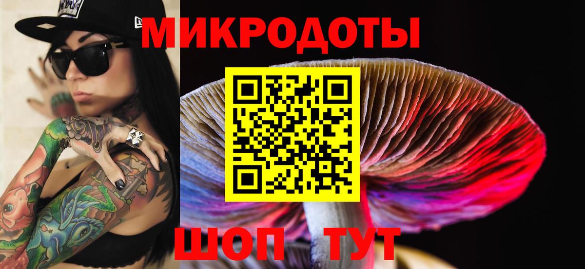 Коломна  Псилоцибиновые грибы Psilocybe  Вход с VPN 